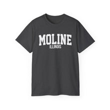 Load image into Gallery viewer, Moline Illinois t-shirt