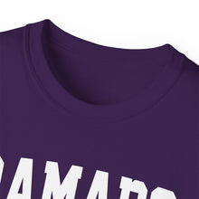 Load image into Gallery viewer, Ramapo New York t-shirt