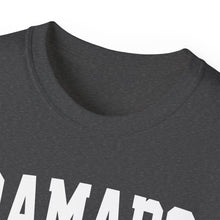Load image into Gallery viewer, Ramapo New York t-shirt
