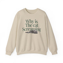 Load image into Gallery viewer, Why is the Cat Screaming Sweatshirt
