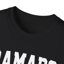 Load image into Gallery viewer, Ramapo New York t-shirt