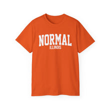Load image into Gallery viewer, Normal Illinois t-shirt