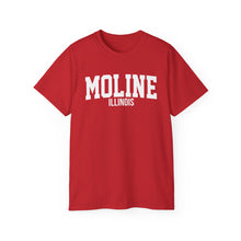 Load image into Gallery viewer, Moline Illinois t-shirt