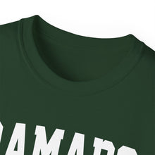 Load image into Gallery viewer, Ramapo New York t-shirt