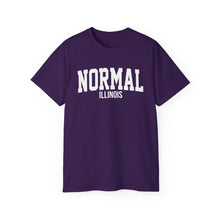 Load image into Gallery viewer, Normal Illinois t-shirt