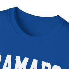 Load image into Gallery viewer, Ramapo New York t-shirt