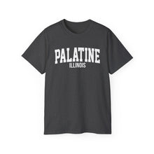 Load image into Gallery viewer, Palatine Illinois t-shirt