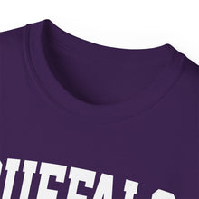 Load image into Gallery viewer, Buffalo New York t-shirt