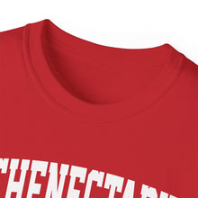 Load image into Gallery viewer, Schenectady New York t-shirt