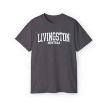 Load image into Gallery viewer, Livingston Montana t-shirt
