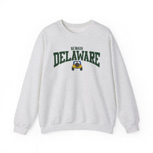 Load image into Gallery viewer, Delaware Newark Sweatshirt
