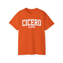 Load image into Gallery viewer, Cicero Illinois t-shirt
