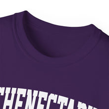 Load image into Gallery viewer, Schenectady New York t-shirt
