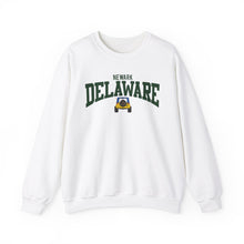 Load image into Gallery viewer, Delaware Newark Sweatshirt
