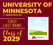 Load image into Gallery viewer, Minnesota Digital Template
