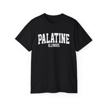 Load image into Gallery viewer, Palatine Illinois t-shirt
